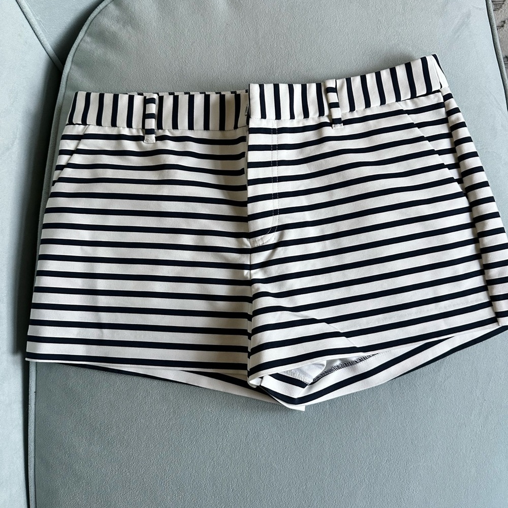 Forever 21 Navy and White Striped  Shorts